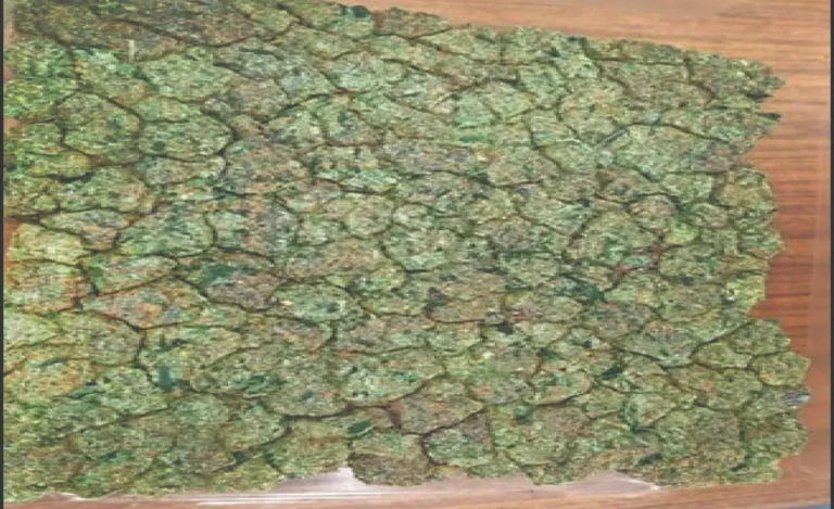 fhfh566-2025-08-24-01-11-34