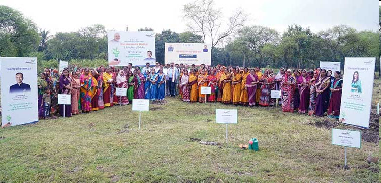 jindal_foundation_75000 plant