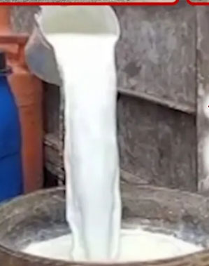 not-milk-but-poison-milk