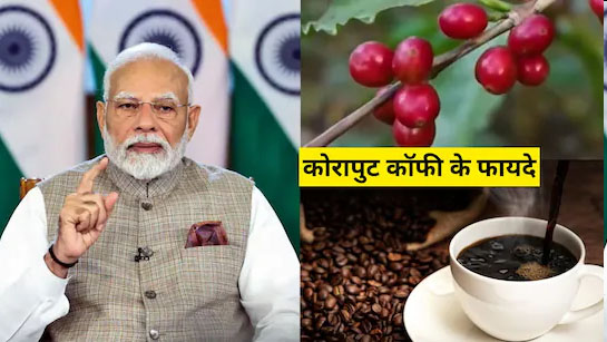 Koraput-coffee-discussed-in-Mann-Ki-Baat-