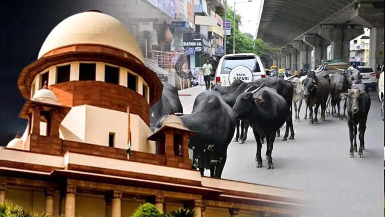 supreme-court-stray-animals-highway-and-expressway-no-entry