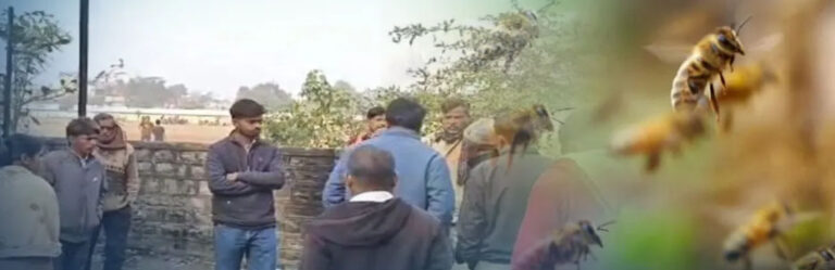 bee-terror-at-anganwadi-center
