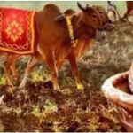 akshaya-tritiya-is-the-luckiest-day-for-odisha