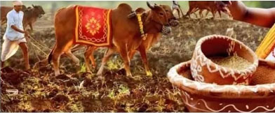 akshaya-tritiya-is-the-luckiest-day-for-odisha