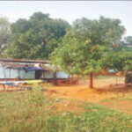 the-pain-of-a-border-village-traveling-8-km-for-5-kg-of-rice