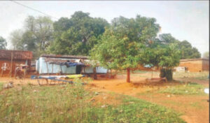 the-pain-of-a-border-village-traveling-8-km-for-5-kg-of-rice