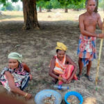 tribals-busy-collecting-moss-in-summer-selling-it-for-rs-359-to-rs-450-per-kg
