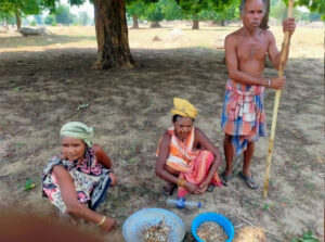 tribals-busy-collecting-moss-in-summer-selling-it-for-rs-359-to-rs-450-per-kg