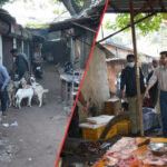pahili-raja-celebrations-5-crore-worth-of-meat-sold-in-bhubaneswar
